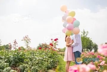 2024幽默开心祝福的简短句子文案