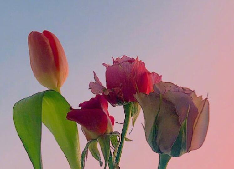 命运的句子文案说说心情