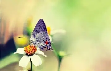 清晨早安正能量简单一句话