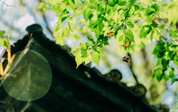 名句文案摘抄唯美