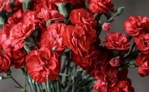 母爱的诗句文案古诗十首