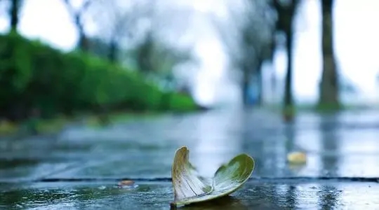 生命剩下的日子不多了说说文案