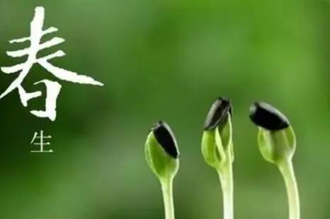 夸奖春姑娘的优美短句