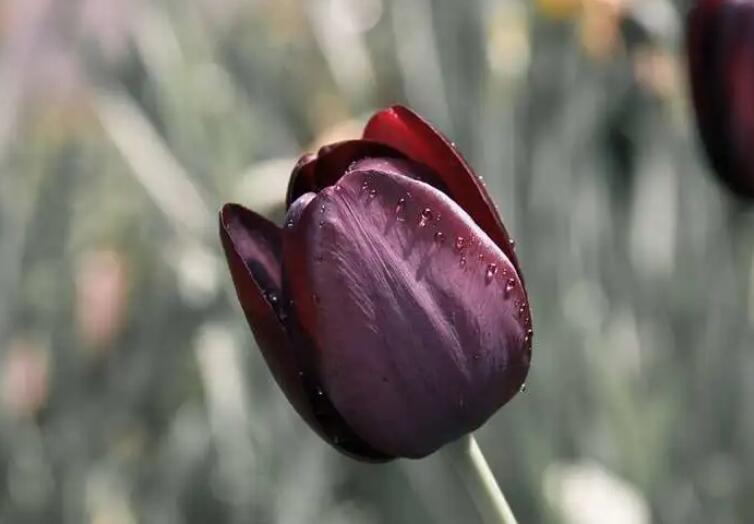 晚上好关心祝福语图片星期天