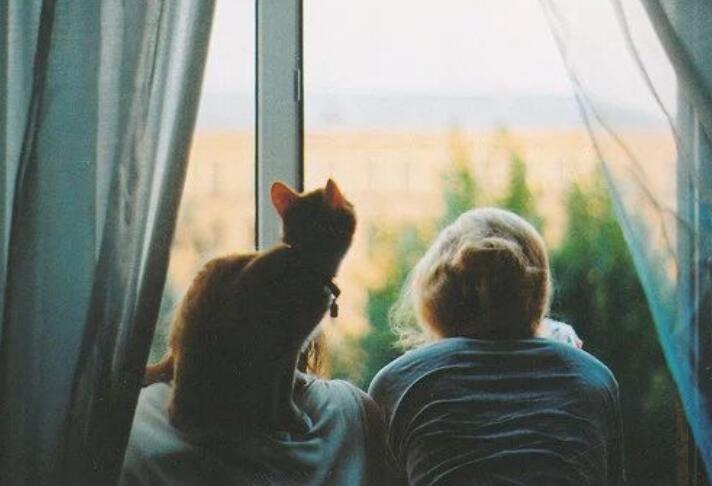 温馨简短晚安祝福短信