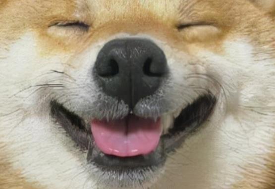 简短个性签名可爱