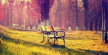 周六的问候语简短