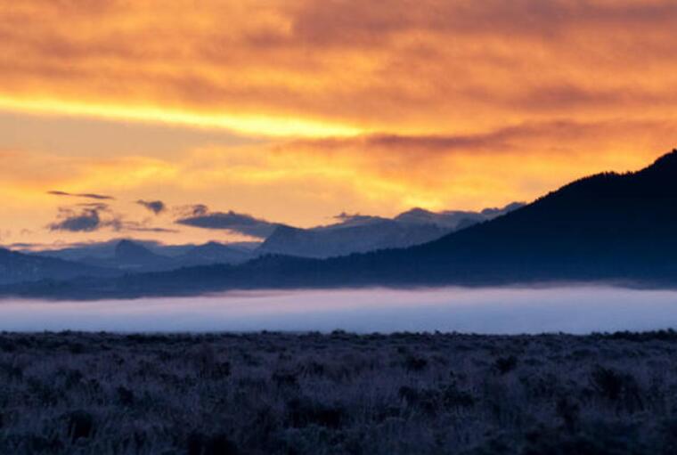 微信文字祝福语早上好