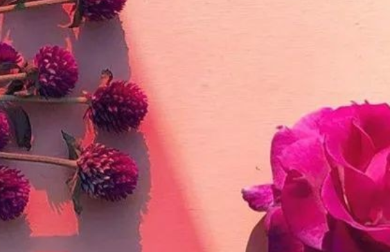 关于苦难的名言