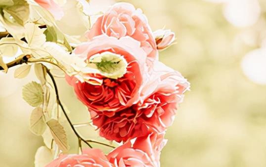 相信自己的励志名言