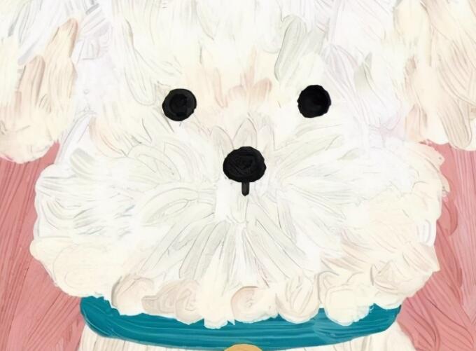 陌陌评论最高的句子文案