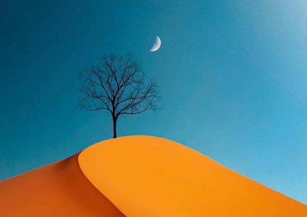 社会经典语录文案精选