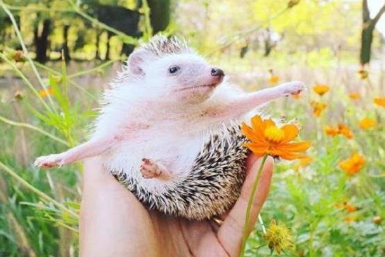 早安正能量简短句子文案