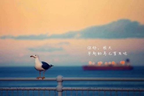 唯美句子文案励志语录