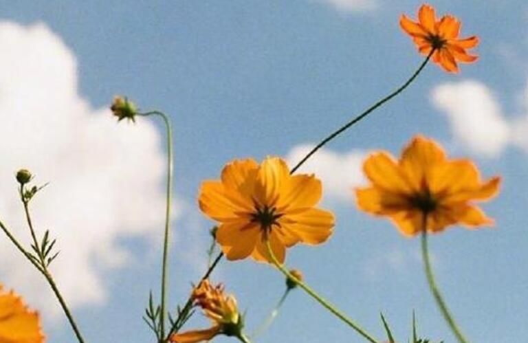 一生很短好好珍惜的说说文案