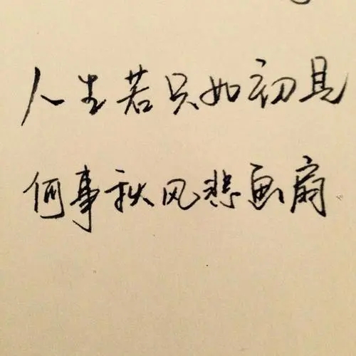 唯美爱情经典句子文案