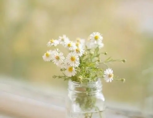 生活的美好句子文案