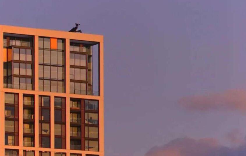 超温柔的短句夏天