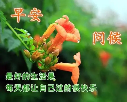 牵挂思念早上祝福语