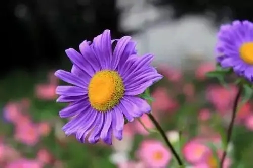 打动人心的句子文案朋友圈