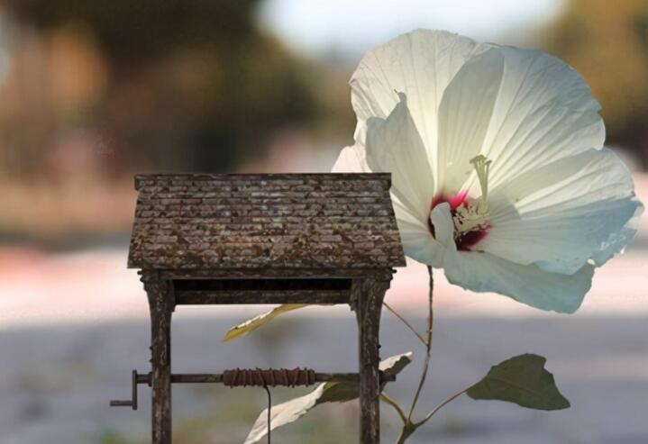 看淡一切放过自己的说说文案