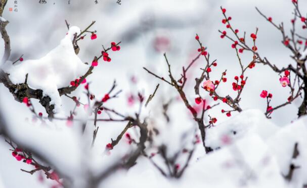 表明对人性失望的诗