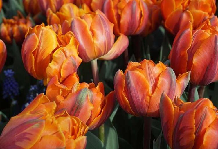 祝你生日快乐的祝福语