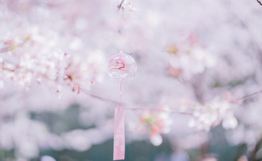 描写春天最美的句子文案有哪些