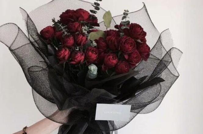 二十个好句子文案字少