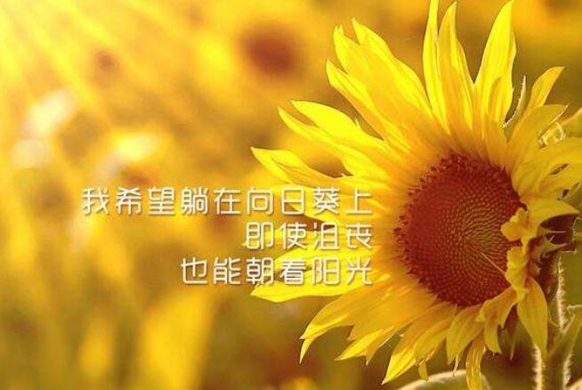 关于学习的座右铭