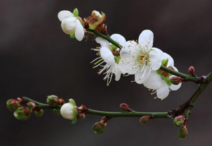 把古诗改成骂人的诗句文案