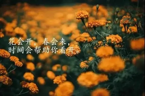 一句话的简单人生感悟