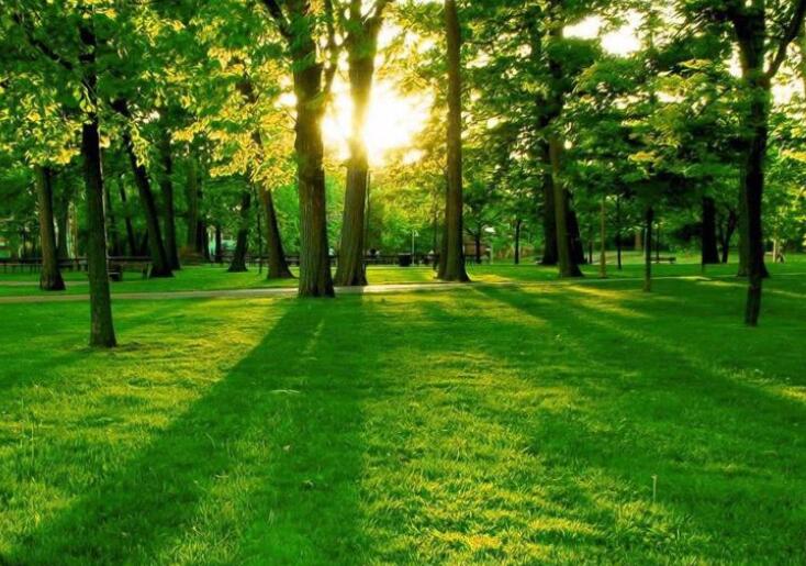 朋友之间健康问候语