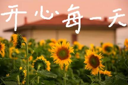 开心每一天的唯美句子文案