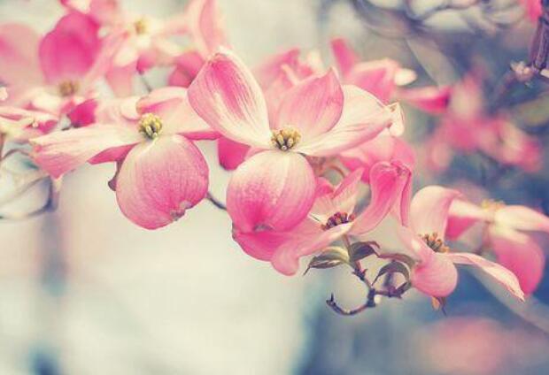 2024请善待我的句子文案