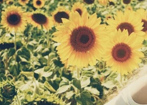 激励自己的名言警句