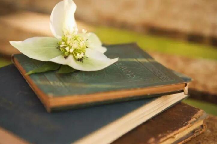 喜欢阅读的优美句子文案