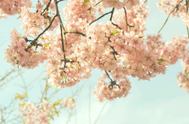 形容美好的诗句文案