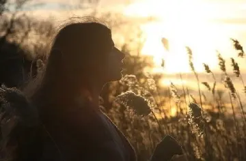 有人说我变了经典语录文案