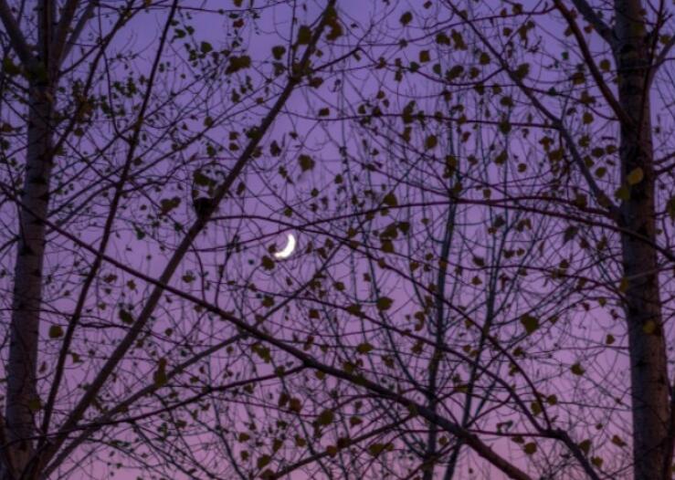 人总在经历中成长说说文案