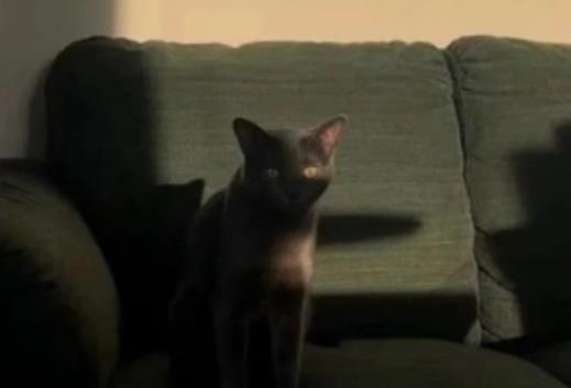 暗示自己分手的文案