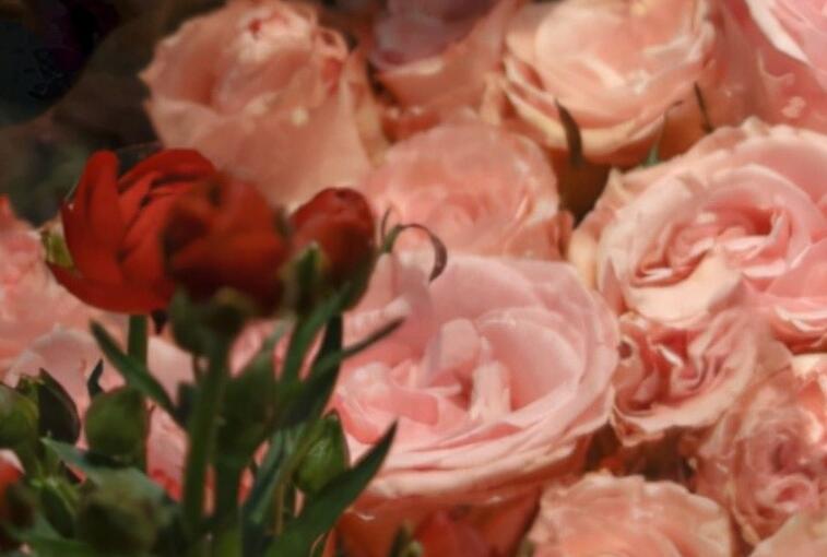 兄弟过生日祝福语