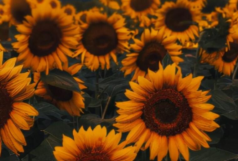 发朋友圈开心的精美句子文案