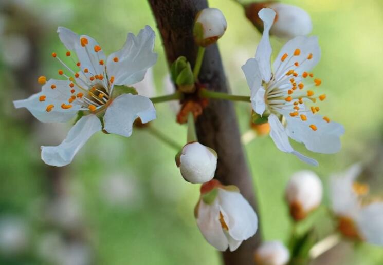 早晨群发正能量问候语