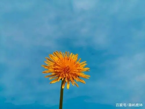 每天给自己一个励志的句子文案