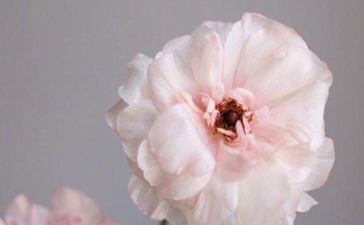 至理名言短句经典