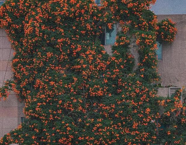 古风句子文案唯美简短八字