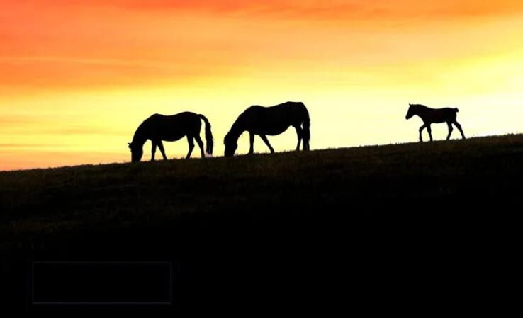 励志人生早安心语图片
