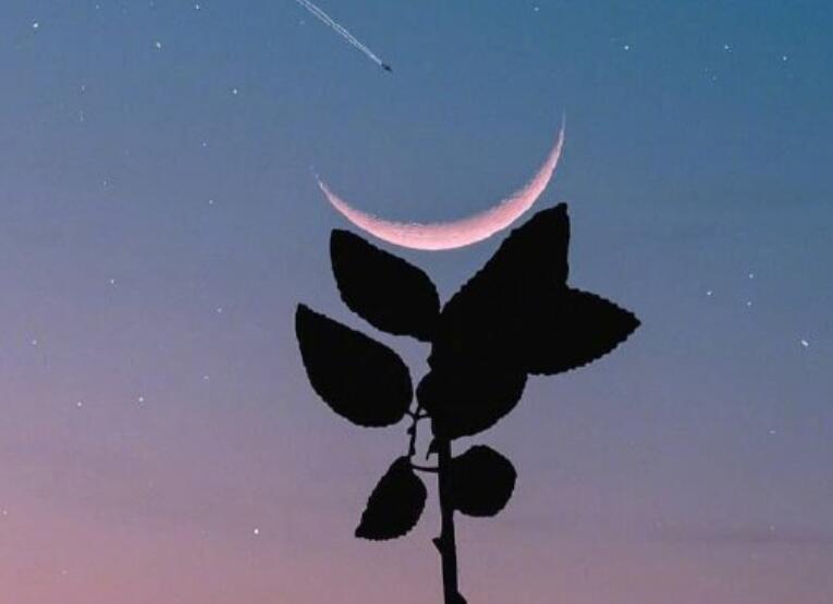 心入佛门的说说文案