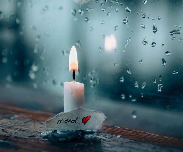 金钱面前无亲情的句子文案